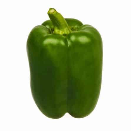 Single Green Cap Pepper from Panzer's
